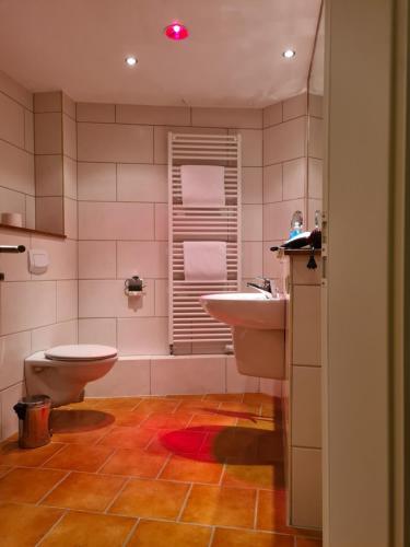 a bathroom with a toilet and a sink at Franziskaner am Markt in Löningen