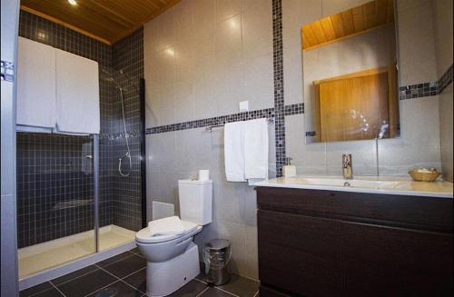 e bagno con servizi igienici, lavandino e doccia. di Casa De Campo Cantinho Da Serra a Cortelha