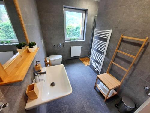 a bathroom with a white sink and a toilet at Apartmán Pod Mamutem in Dolní Morava