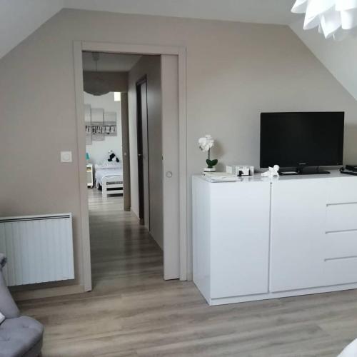 a living room with a television on a white cabinet at Studio & Gîte Zen de Beauval- 800 m du Zooparc in Seigy