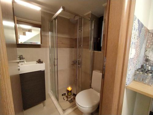 La salle de bains est pourvue d'une douche, de toilettes et d'un lavabo. dans l'établissement Argalios, à Kalamávka