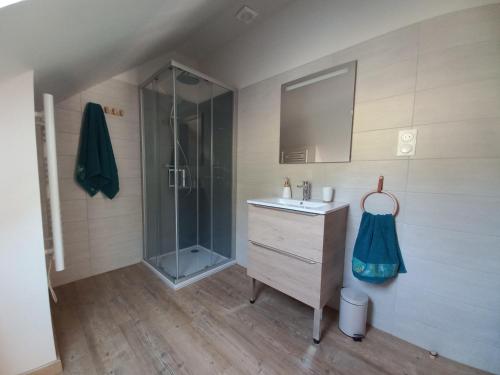 La salle de bains est pourvue d'un lavabo et d'une douche. dans l'établissement Logement entièrement rénové au cœur du Val d'Azun, à Arras-en-Lavedan