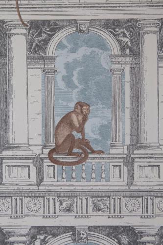 Ca' della Scimmia, Venice, Italy
