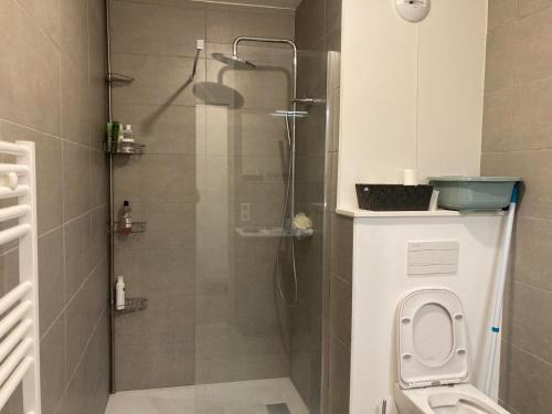 La salle de bains est pourvue d'une douche et de toilettes. dans l'établissement Appartement Muse proche Gare, à Metz