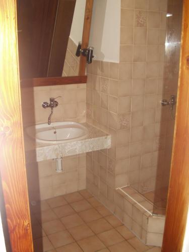 a bathroom with a sink and a shower at Woodhouse in Rokytnice nad Jizerou