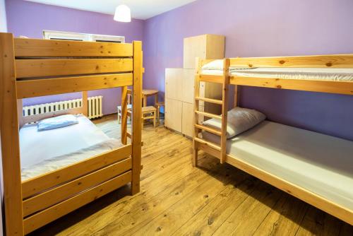 2 Etagenbetten in einem Zimmer mit lila Wänden und Holzböden in der Unterkunft Jopi Hostel Katowice Centrum in Kattowitz