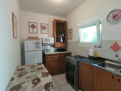 kuchnia ze zlewem i kuchenką górny piekarnik w obiekcie Holiday Apartment Jasna w mieście Premantura