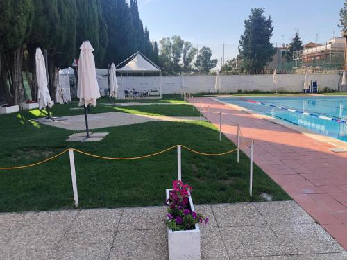 a swimming pool with umbrellas and flowers in the grass at Domus Aurelia in Rome