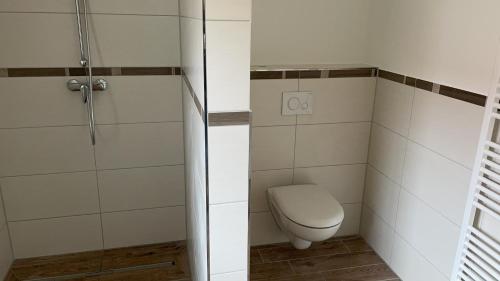 a bathroom with a toilet and a shower at Ferienhaus Mück in Ankershagen