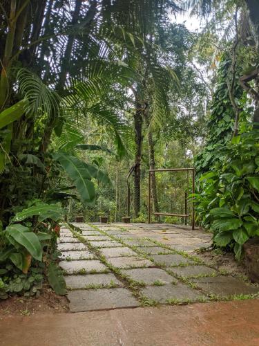 Un jardín fuera de Guddadamane Homestay