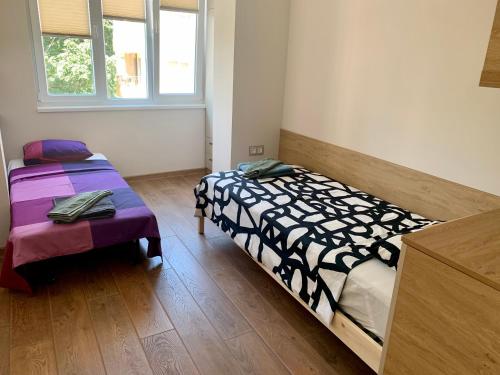 1 dormitorio con 2 camas y 2 ventanas en Magnolia apartment en Varna