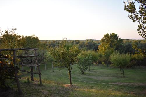Gambar di galeri bagi Odmor za dušu i tijelo u srcu prirode di Aljmaš