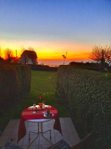 Studio cosy et terrasse-jardin superbe vue mer