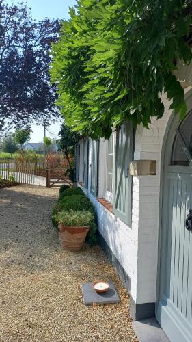 Fotografie z fotogalerie ubytování Chambres d'hôtes - Au Clos d'Amande v destinaci Lasne