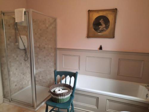 uma casa de banho com uma banheira, uma cadeira e uma banheira. em Croagh Patrick Lodge Apartment em Westport