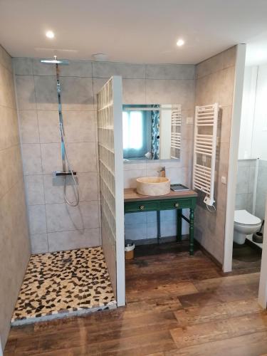 a bathroom with a sink and a shower at La résinière in Salles