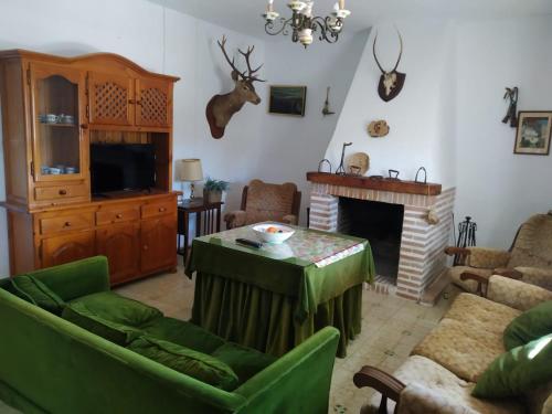 a living room with green furniture and a fireplace at Casa Rural San Antonio in La Puebla de los Infantes