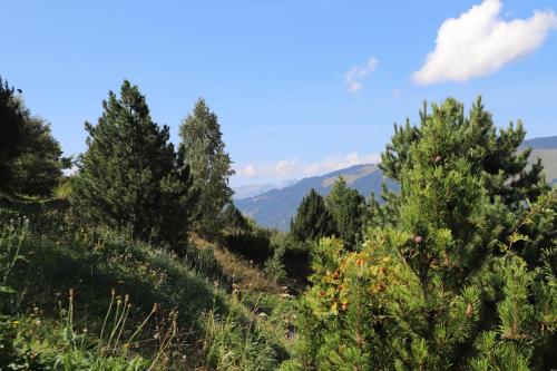 a hillside with trees and mountains in the background at SOWELL Family La Lauzière in Aime La Plagne