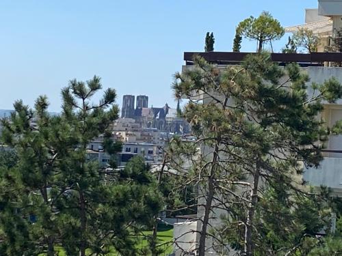 Le Mun,3 étoiles-T2-60m2-balcon-parking-wifi-linge-produits-face à la gerdarmerie-vue cathedrale