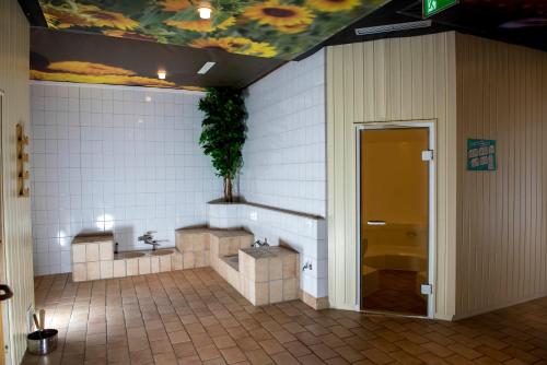 un bagno con un orinatoio e una pianta sul muro di App 510 Panoramic Hohegeiß mit Fernblick a Braunlage