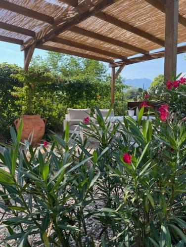 Κήπος έξω από το Casa 32