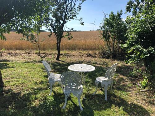 una mesa y cuatro sillas en un campo con un molino de viento en Les Geais, 