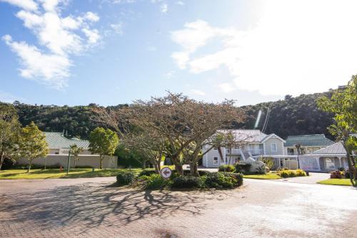 a house with a tree in the middle of a driveway at Thirty River Club Villas managed by The Paper Fig House in Plettenberg Bay