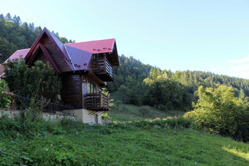 a house with a red roof on a hill at Cottage "Karpatske Shale" in Yaremche