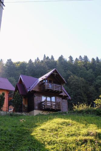 a log house with a porch on a field at Cottage "Karpatske Shale" in Yaremche