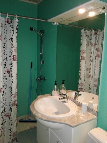 een badkamer met een wastafel, een douche en een spiegel bij Motelli Karjala in Uimaharju