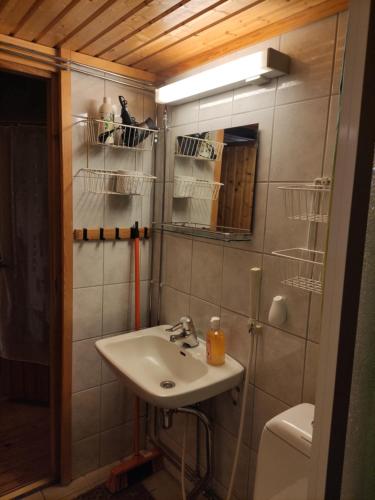 a bathroom with a sink and a toilet at Holiday Cabin Kerimaa 103 in Savonlinna