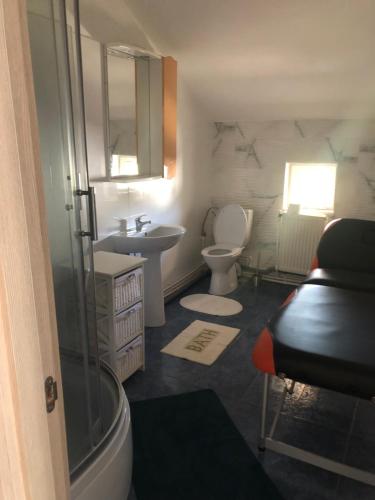 een badkamer met een douche, een toilet en een wastafel bij Casa Rediu Iasi in Iaşi