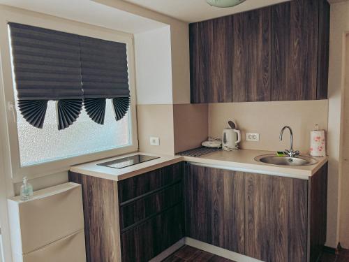 a small kitchen with a sink and a window at Apartments Ivanović in Idrija