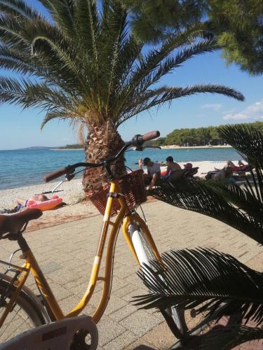 a bike parked on a beach next to a palm tree at SMARAGD on the beach in Povljana