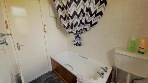 baño con lavabo y ducha con cortina en Lovely self-catering apartment in city centre, en Dumfries