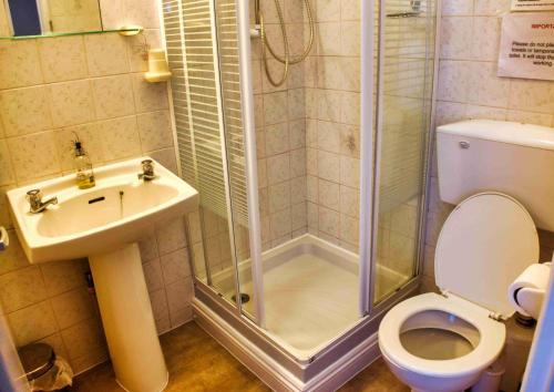 a bathroom with a shower and a toilet and a sink at Apartment 1 Large Studio Sea Front- Sea Views- Free Parking in Paignton