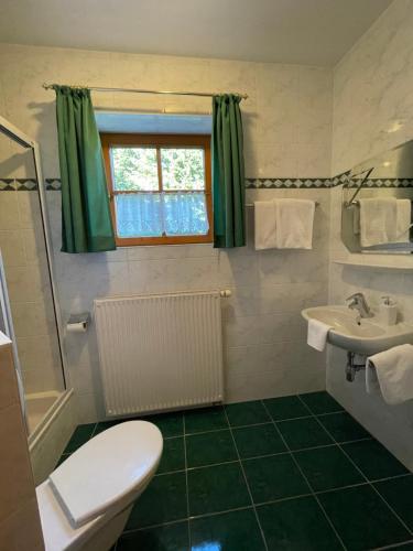 une salle de bain avec toilettes et lavabo dans l'établissement Ferienhaus Alpenblick, à Krakauschatten