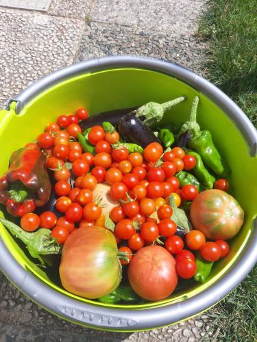a green bowl filled with tomatoes and other vegetables at la baita in Salerno