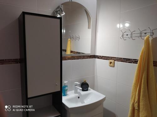a bathroom with a sink and a mirror at Rodinný penzion U Hafana a U Hospůdky in Řeka