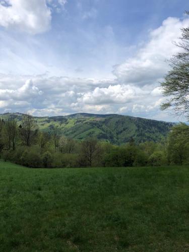 a green field with trees and mountains in the background at Rodinný penzion U Hafana a U Hospůdky in Řeka