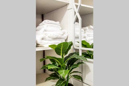 a closet with white towels and a plant at CityLife Apartments in Willemstad - groundfloor 2 bedroom apartment - B in Willemstad