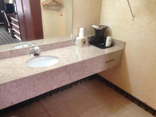una barra de baño con lavabo en una habitación de hotel en Regal Inn Guntersville, en Guntersville