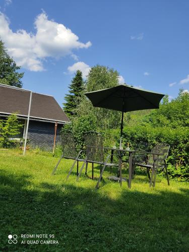 a picnic table and an umbrella in the grass at Gasthaus Piesau - Thüringer Wald - Rennsteig in Piesau