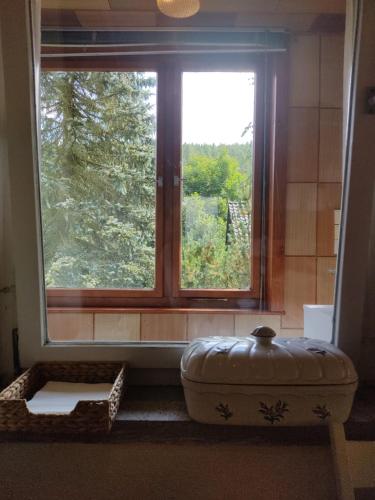a large window with a large ottoman in front of it at Gasthaus Piesau - Thüringer Wald - Rennsteig in Piesau