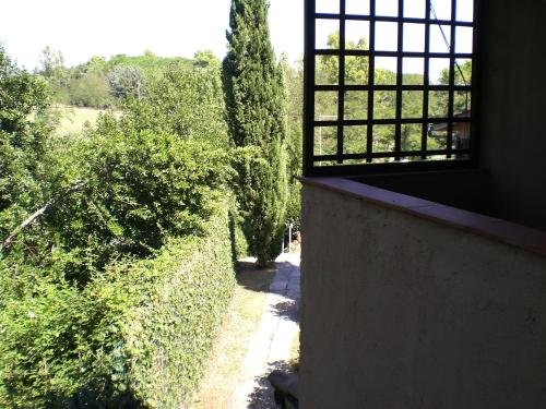 a view of a garden from a window of a house at Villa di Christian e Michelle in Rome