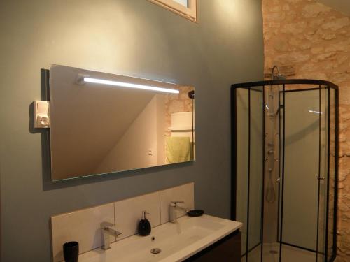 a bathroom with a sink and a shower and a mirror at Ancienne école de Colombier in Colombier