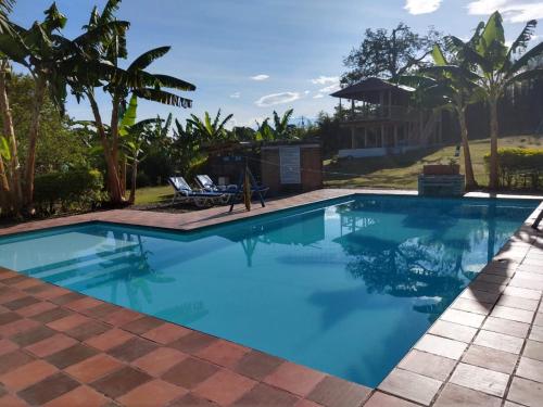 una piscina con agua azul y palmeras en Finca Nuestro Sueño, en Quimbaya