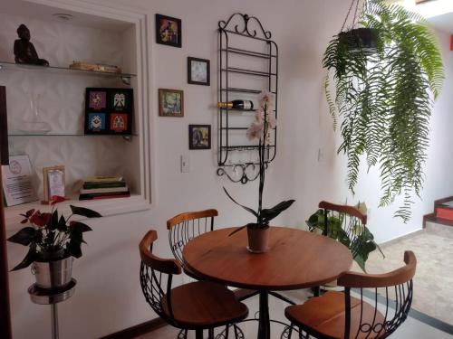 uma sala de jantar com mesa e cadeiras e uma planta em Loft Colibri Mucugê em Mucugê