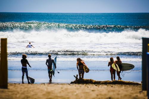 a group of people standing on the beach with surfboards at Tapas & Surf in Petacaltepe