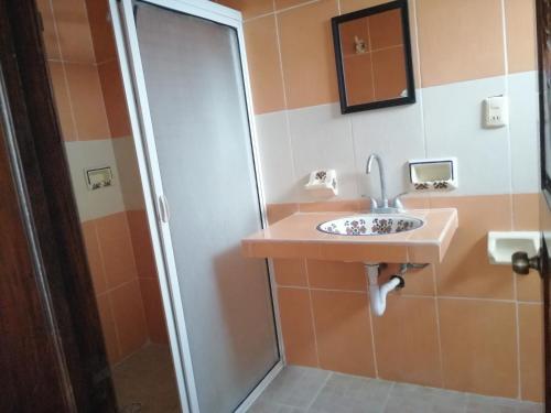 een badkamer met een wastafel en een douche bij Hotel Villa Palmeras in Tecolutla